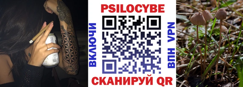 Псилоцибиновые грибы MAGIC MUSHROOMS  дарнет шоп  гидра онион  Новосибирск 